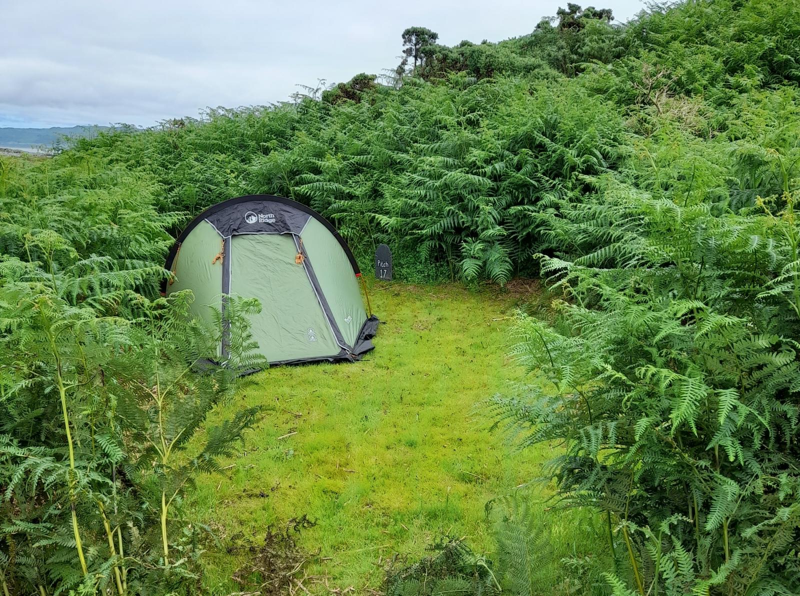 Small pitch